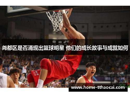 尧都区是否涌现出篮球明星 他们的成长故事与成就如何