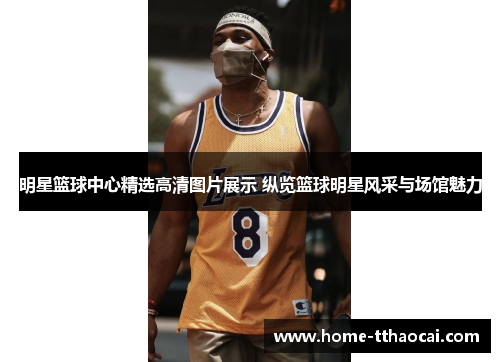 明星篮球中心精选高清图片展示 纵览篮球明星风采与场馆魅力