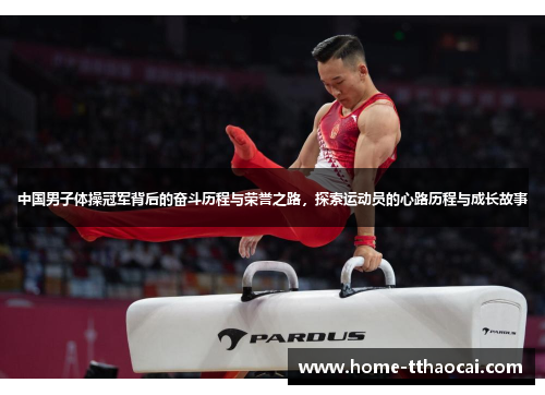 中国男子体操冠军背后的奋斗历程与荣誉之路，探索运动员的心路历程与成长故事