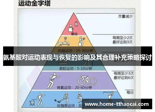 氨基酸对运动表现与恢复的影响及其合理补充策略探讨